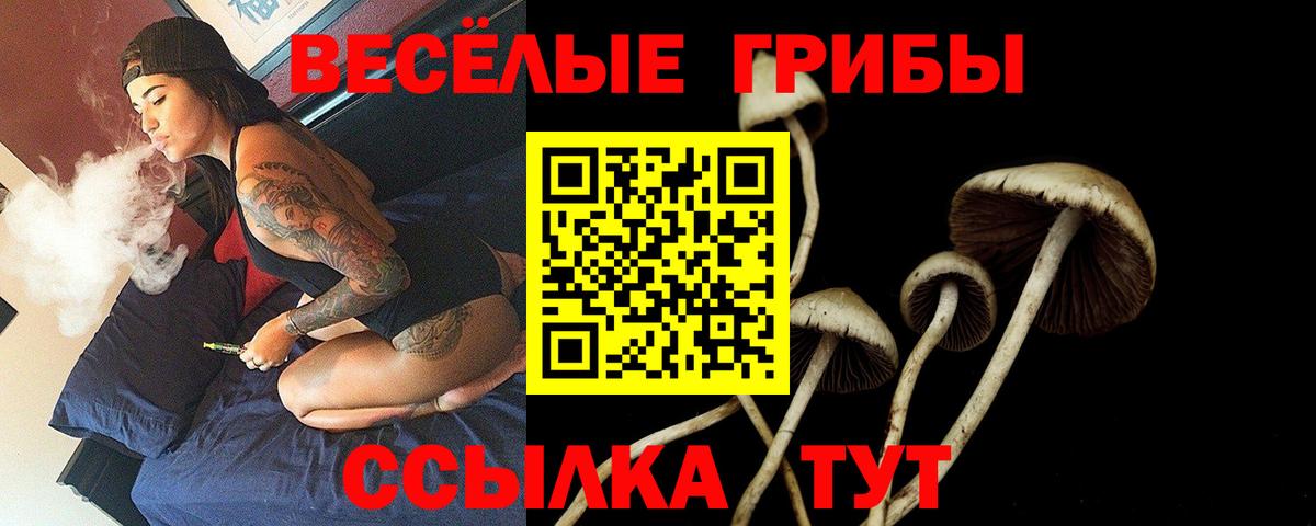 Псилоцибиновые грибы ЛСД  закладка  Вход с VPN  Сочи  Псилоцибиновые грибы Cubensis 